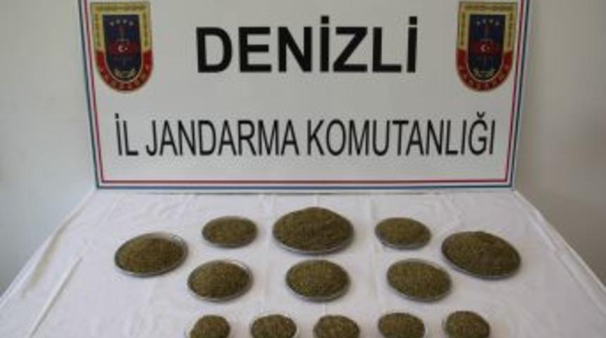 Kenevir yetiştirip uyuşturucu yaptığı iddia edilen 10 kişi tutuklandı