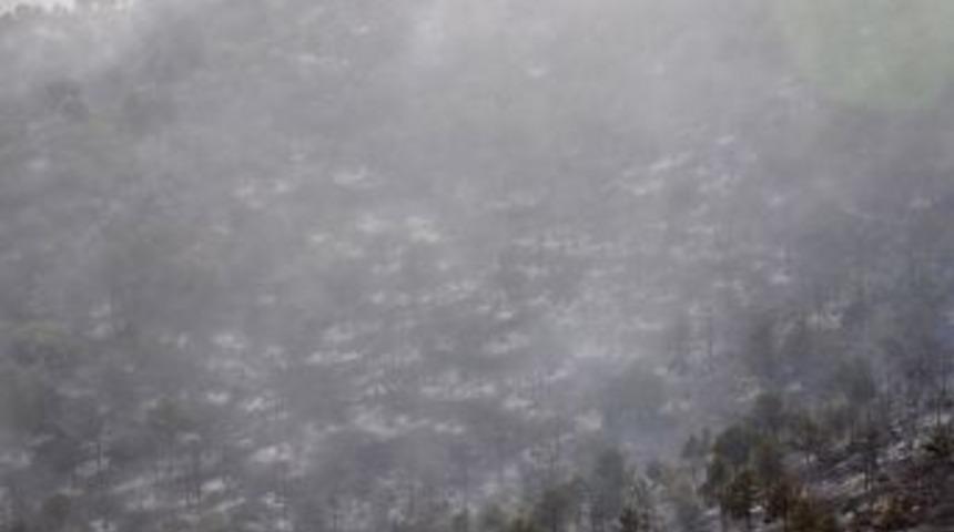 Zile'de 15 dönümlük ormanlık alan yandı