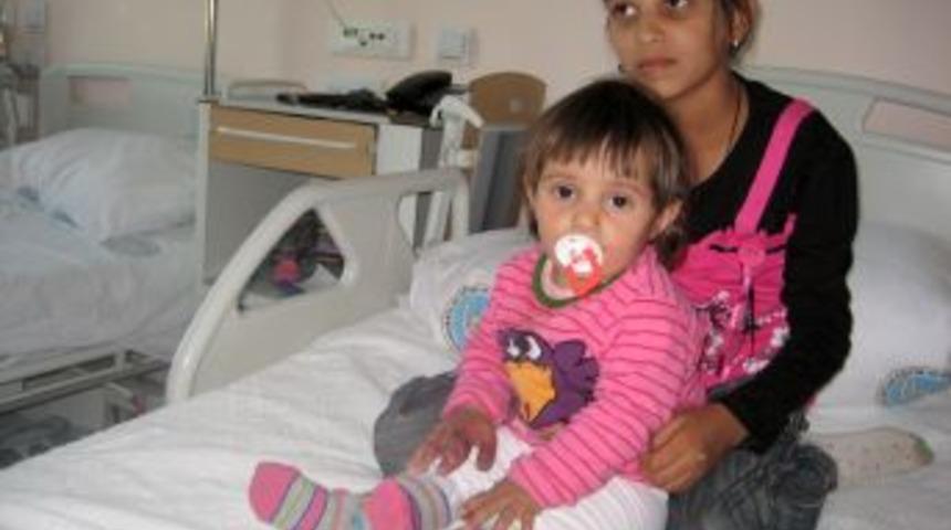 Ke&ccedil;i, iki yaşındaki &ccedil;ocuğu hastanelik etti