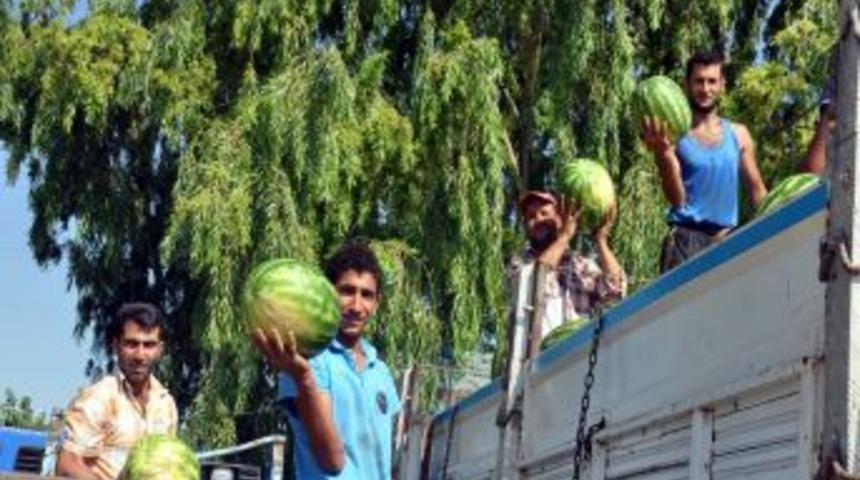 Iğdır'ın yerli &uuml;r&uuml;nleri pazara indi, sebze meyve fiyatları d&uuml;şt&uuml;