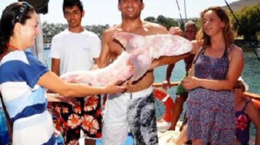 Turistler k&ouml;pek balığını &ccedil;ok sevdi