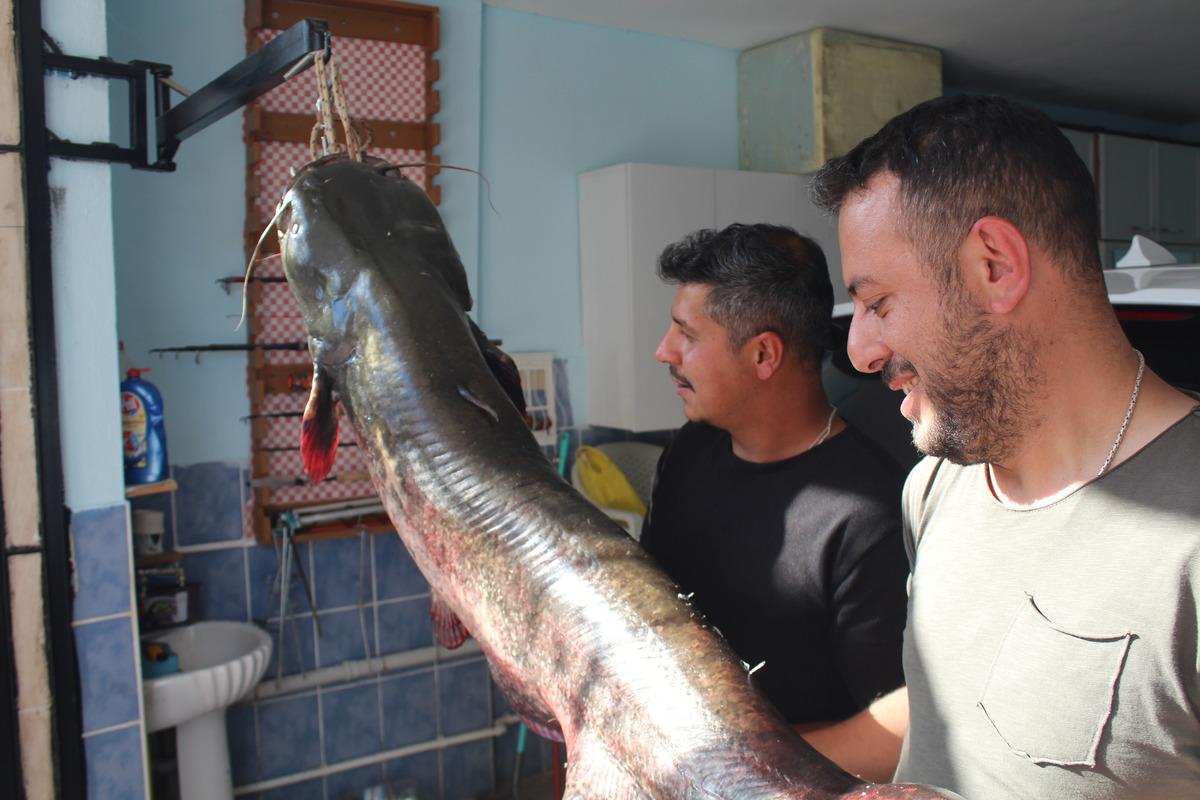 Nehirden çıkana kendileri bile inanamadı: Kızılırmak ta insan boyunda balık avı! 1