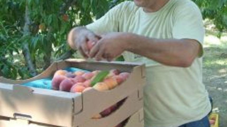 Yağmurla y&uuml;z&uuml; g&uuml;len &ccedil;ift&ccedil;iler: Keşke biraz daha yağsa