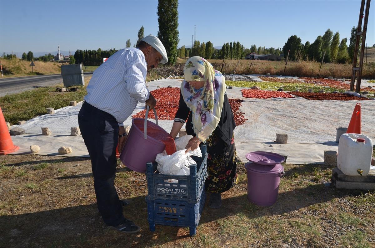 G&uuml;neş altında bambaşka bir değere d&ouml;n&uuml;ş&uuml;yor! Talep Avrupa ya kadar uzandı 2