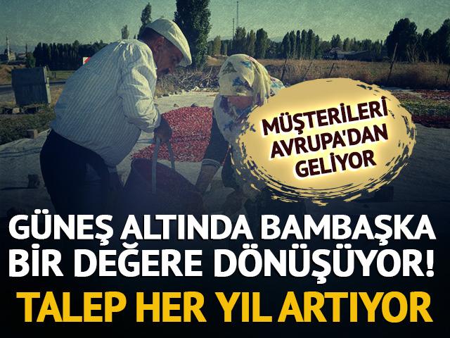 G&uuml;neş altında bambaşka bir değere d&ouml;n&uuml;ş&uuml;yor! Talep Avrupa'ya kadar uzandı