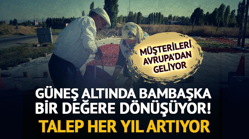 G&uuml;neş altında bambaşka bir değere d&ouml;n&uuml;ş&uuml;yor! Talep Avrupa'ya kadar uzandı