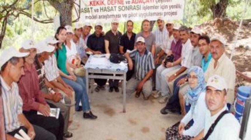 K&ouml;yl&uuml;lere, kekik ve ada&ccedil;ayı hasadı uygulamalı olarak anlatıldı