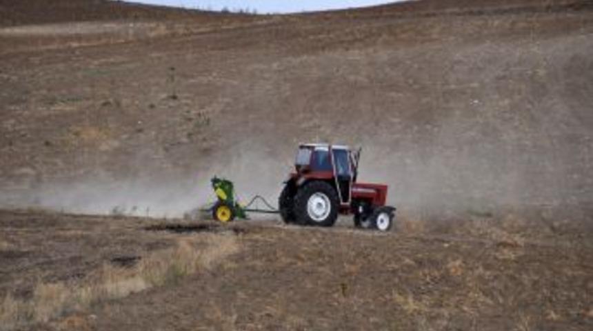 Başkan A&ccedil;ıkg&ouml;z: Hububat ekimi Ekim ayının sonlarına doğru yapılmalı