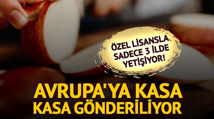 Sıkı kurallar, &ouml;zel lisans! Sadece 3 ilde yetişiyor, d&uuml;nyaya satılıyor