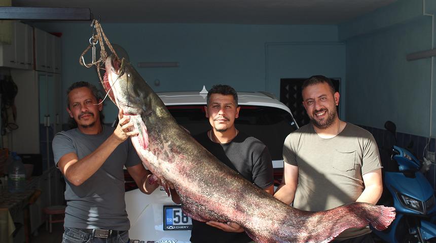 Nehirden &ccedil;ıkana kendileri bile inanamadı: Kızılırmak'ta insan boyunda balık avı!