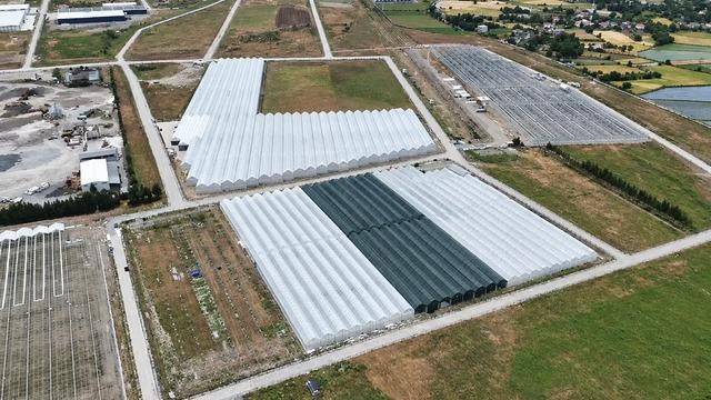 Bafra’da sera organize tarım bölgesinde doluluk yüzde 85’e ulaştı