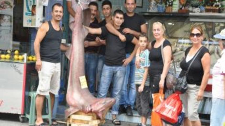 &Ccedil;eşme a&ccedil;ıklarında k&ouml;pek balığı yakalandı