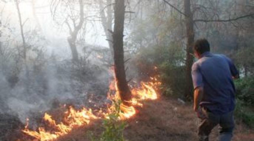 Keşan&rsquo;da &ccedil;ıkan orman yangını b&uuml;y&uuml;meden s&ouml;nd&uuml;r&uuml;ld&uuml;