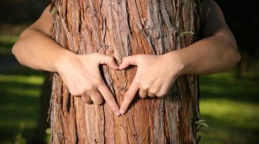 TEMA Vakfı g&ouml;n&uuml;ll&uuml; sayısı 19 yılda 430 bini aştı