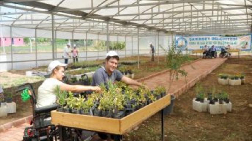 Şahinbey Belediyesi engellilerin elinden FİDE Projesi ile tuttu