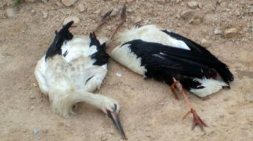 G&ouml;&ccedil; eden leylekler 3 il&ccedil;eyi elektriksiz bıraktı