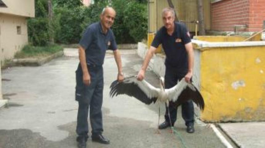 Yaralı leyleğe itfaiye erleri sahip &ccedil;ıktı