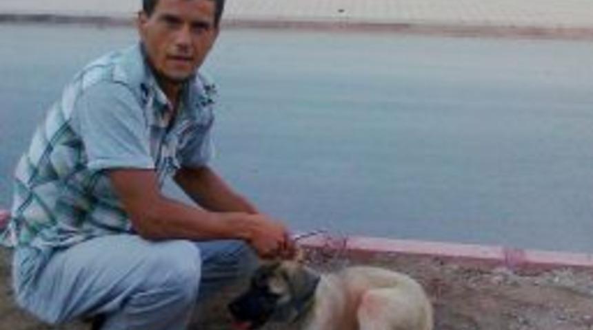 Kakasına pet bidon ge&ccedil;en k&ouml;pek kurtarıldı