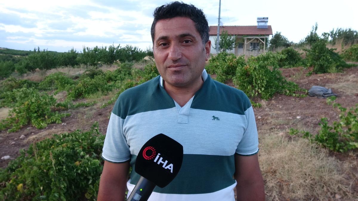 Talep adeta patladı! &Uuml;reticinin elinde kalmadı, kilosu 600 TL yi g&ouml;rd&uuml; 3
