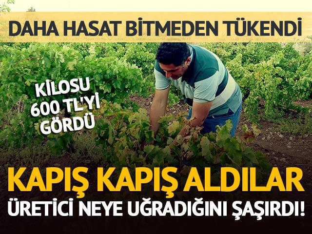 Talep adeta patladı! &Uuml;reticinin elinde kalmadı, kilosu 600 TL'yi g&ouml;rd&uuml;