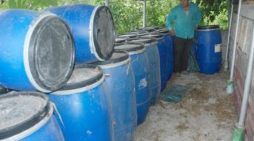 Kendi kurduğu sistemle hayvanlarına 1 sene taze mısır sapı yediriyor