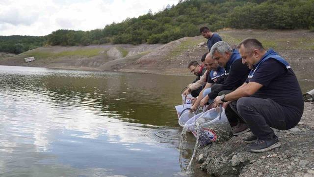 Kastamonu’da göletlere 800 bin sazan balığı yavrusu salındı 6