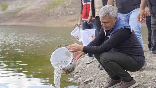Kastamonu’da göletlere 800 bin sazan balığı yavrusu salındı 4