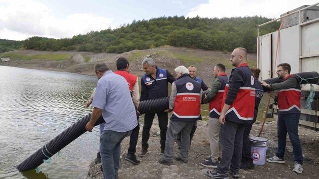 Kastamonu’da göletlere 800 bin sazan balığı yavrusu salındı 2