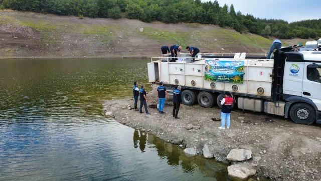 Kastamonu’da göletlere 800 bin sazan balığı yavrusu salındı 1
