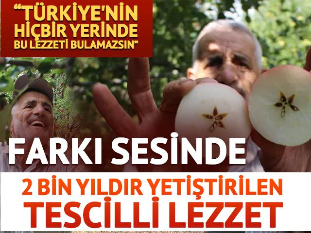 2 bin yıldır yetiştiriliyor! Farkı &ccedil;ıtırtı sesinde