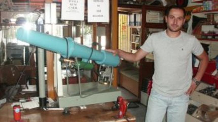 Alaplı'da domuz savar yok satıyor