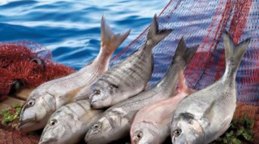 Balık&ccedil;ılık, T&uuml;rkiye&rsquo;nin en fazla b&uuml;y&uuml;yen sekt&ouml;r&uuml;