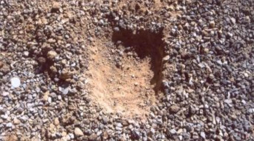 Mayın &ccedil;ukuru bulundu