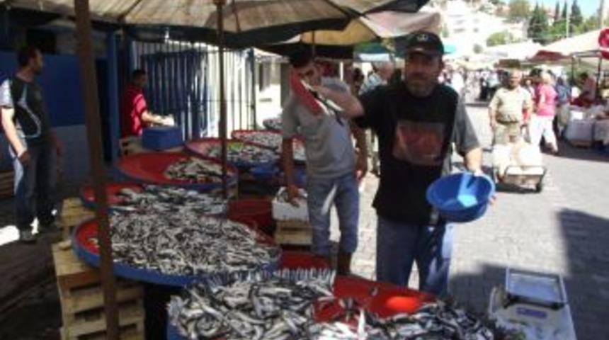 Edremitli balık&ccedil;ılar sezondan umduğunu bulamadı