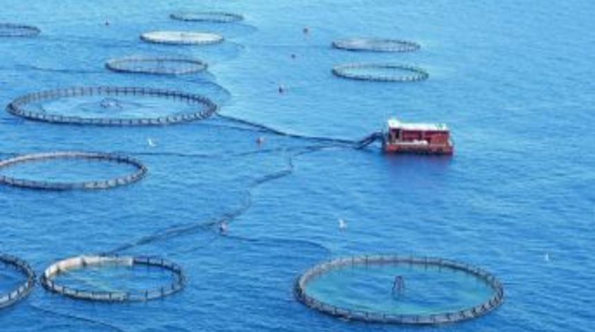 Deniz y&uuml;zeyi kiraları 10 kat d&uuml;şt&uuml;