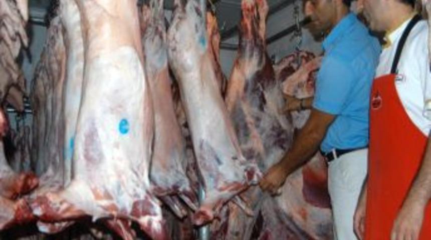 Antalya'da 341 kilo ka&ccedil;ak ete el kondu