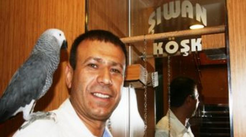 Başına &ouml;d&uuml;l konulan papağan bulundu