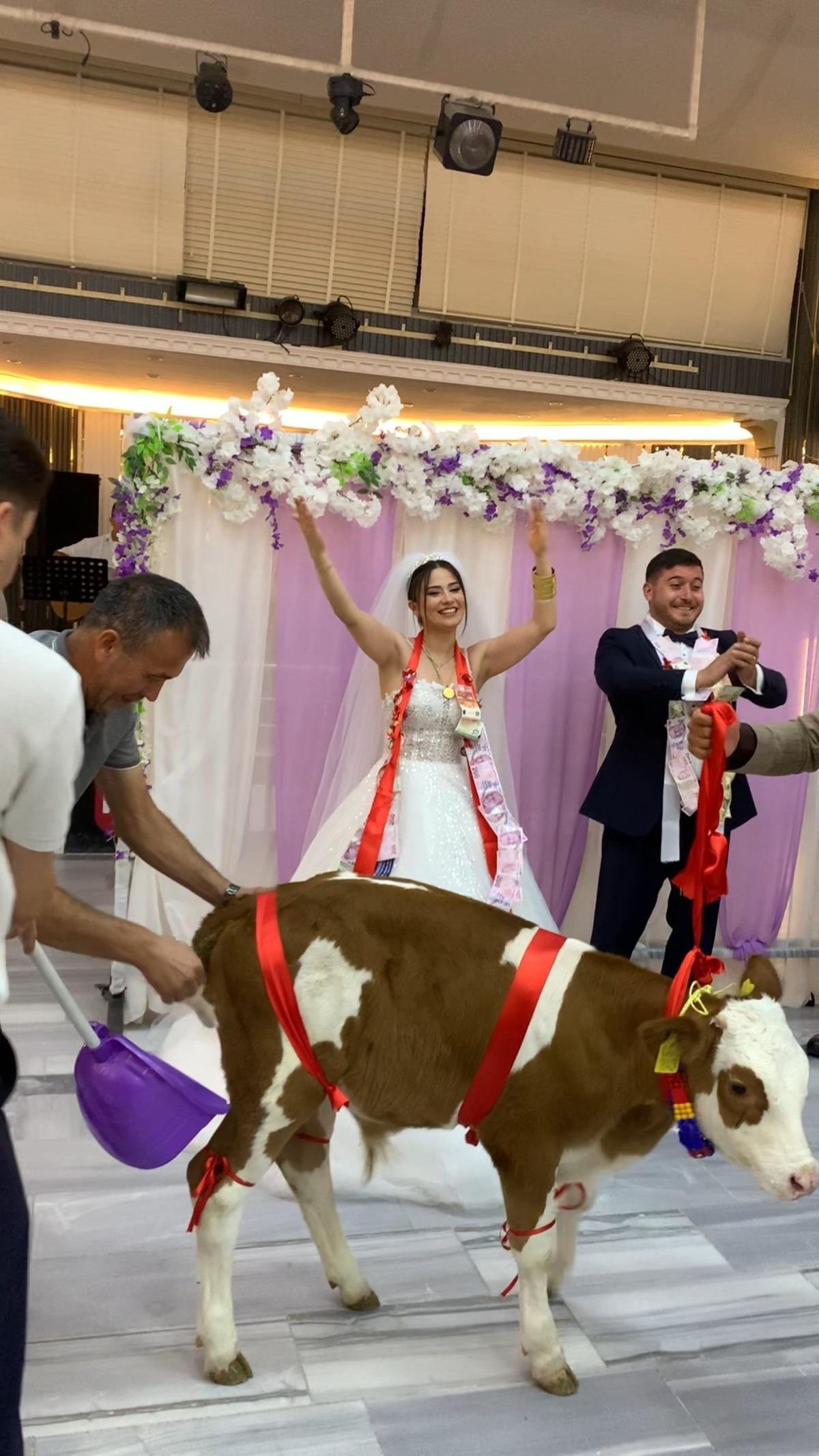 Düğün hediyesi herkesi şaşkına çevirdi! Ne para ne altın 1