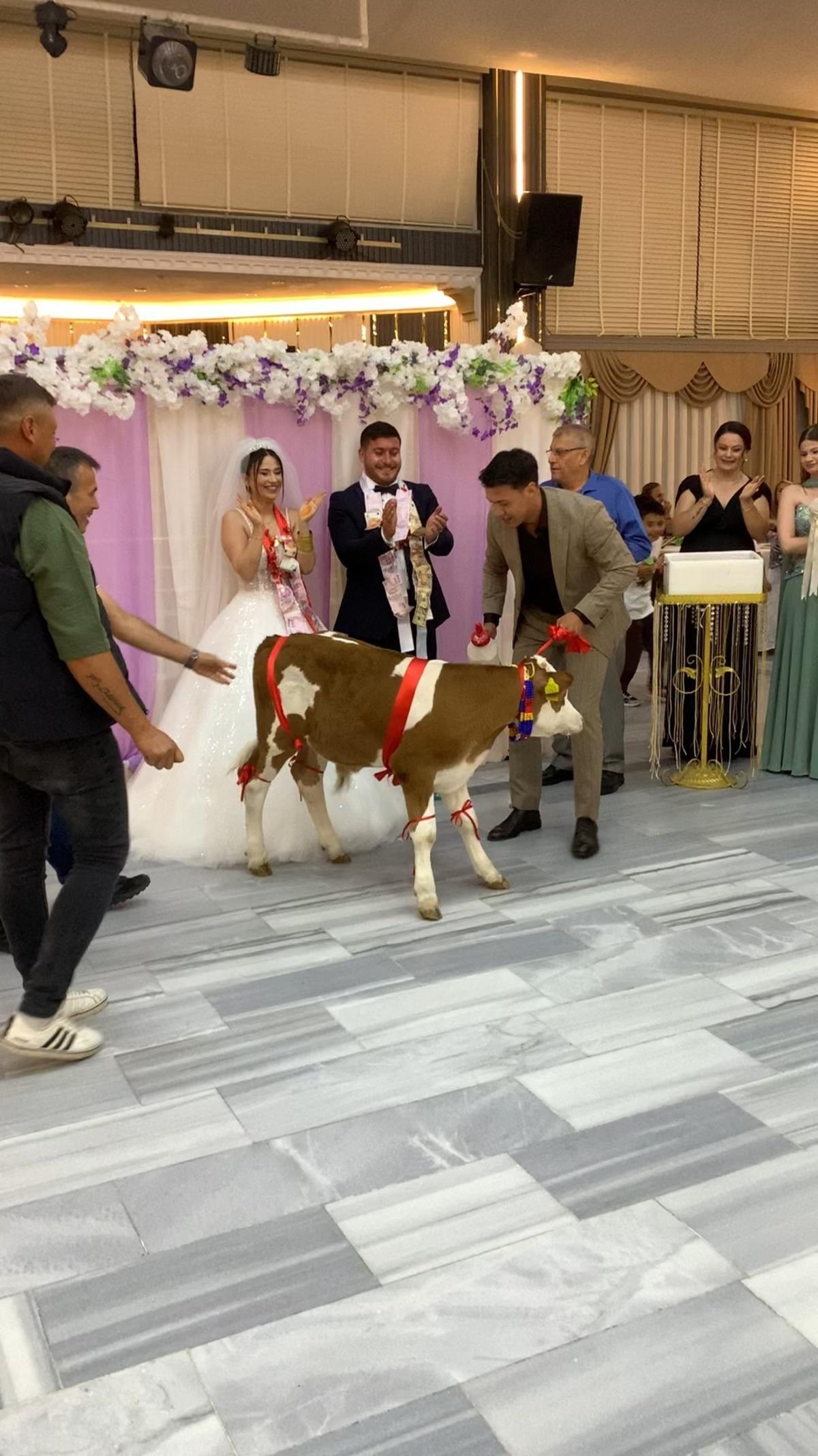Düğün hediyesi herkesi şaşkına çevirdi! Ne para ne altın 3