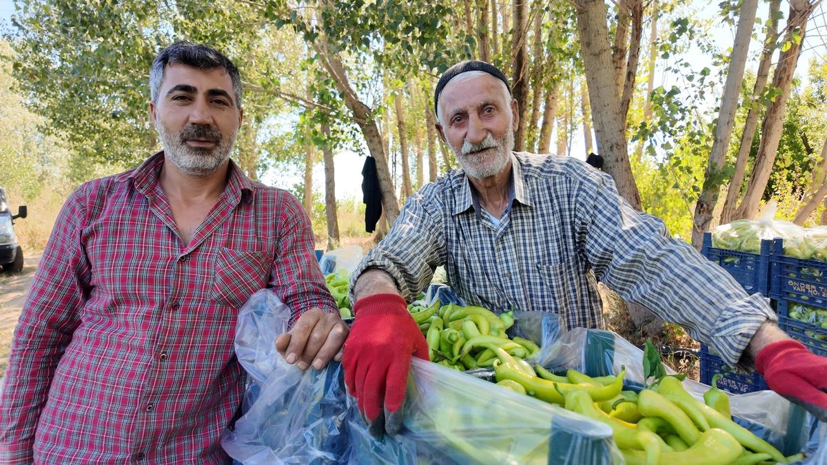 86 yaşında üretime devam ediyor! Yetiştirdiği biberler bölgeye yetiyor 3