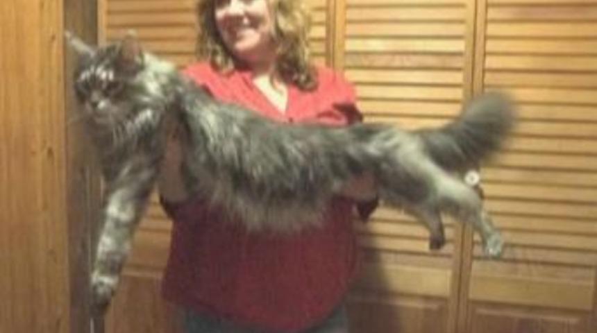 Guinness&rsquo;e giren birbirinden ilgin&ccedil; yeni d&uuml;nya rekorları