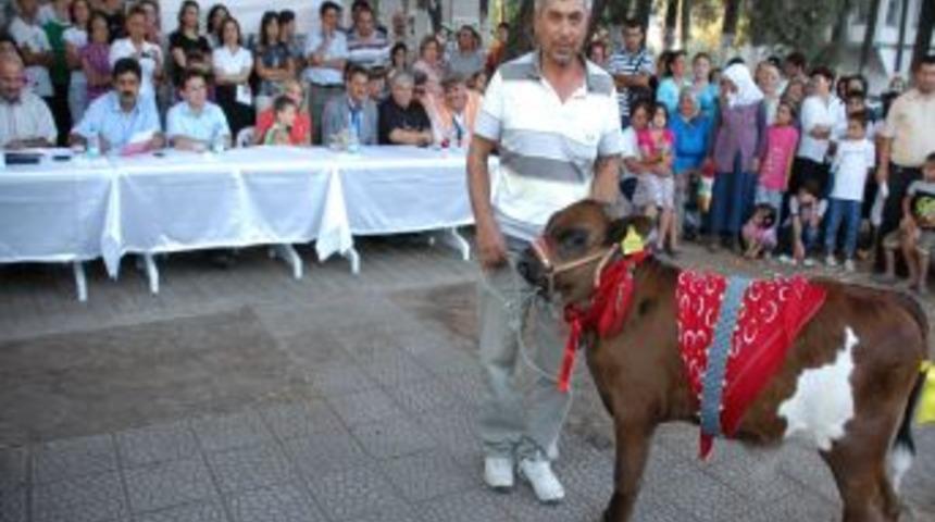 2. Ula K&uuml;lt&uuml;r ve Sanat Festivali başladı