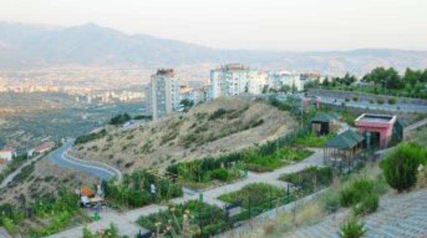 Hobi bah&ccedil;elerinde organik meyve sebze yetiştiriyorlar