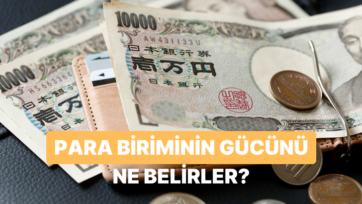 Bir Para Biriminin G&uuml;c&uuml;n&uuml; Belirleyen 8 Temel Fakt&ouml;r