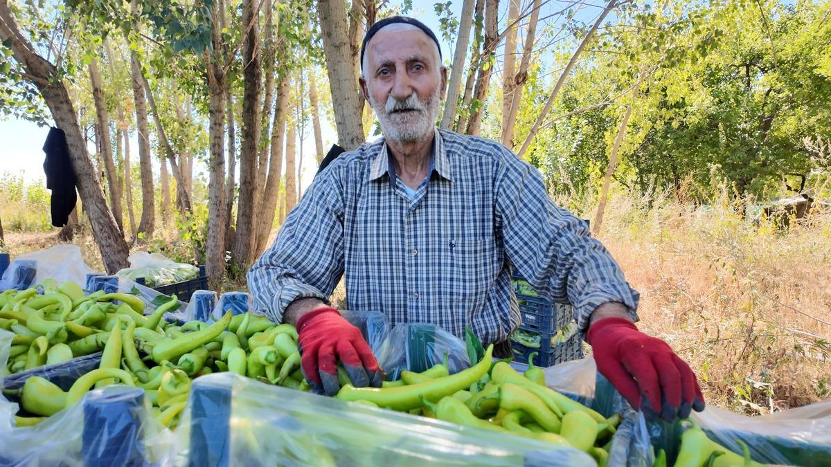 86 yaşında günde 6 ton üretiyor! Bölgenin ihtiyacını karşılıyor 1