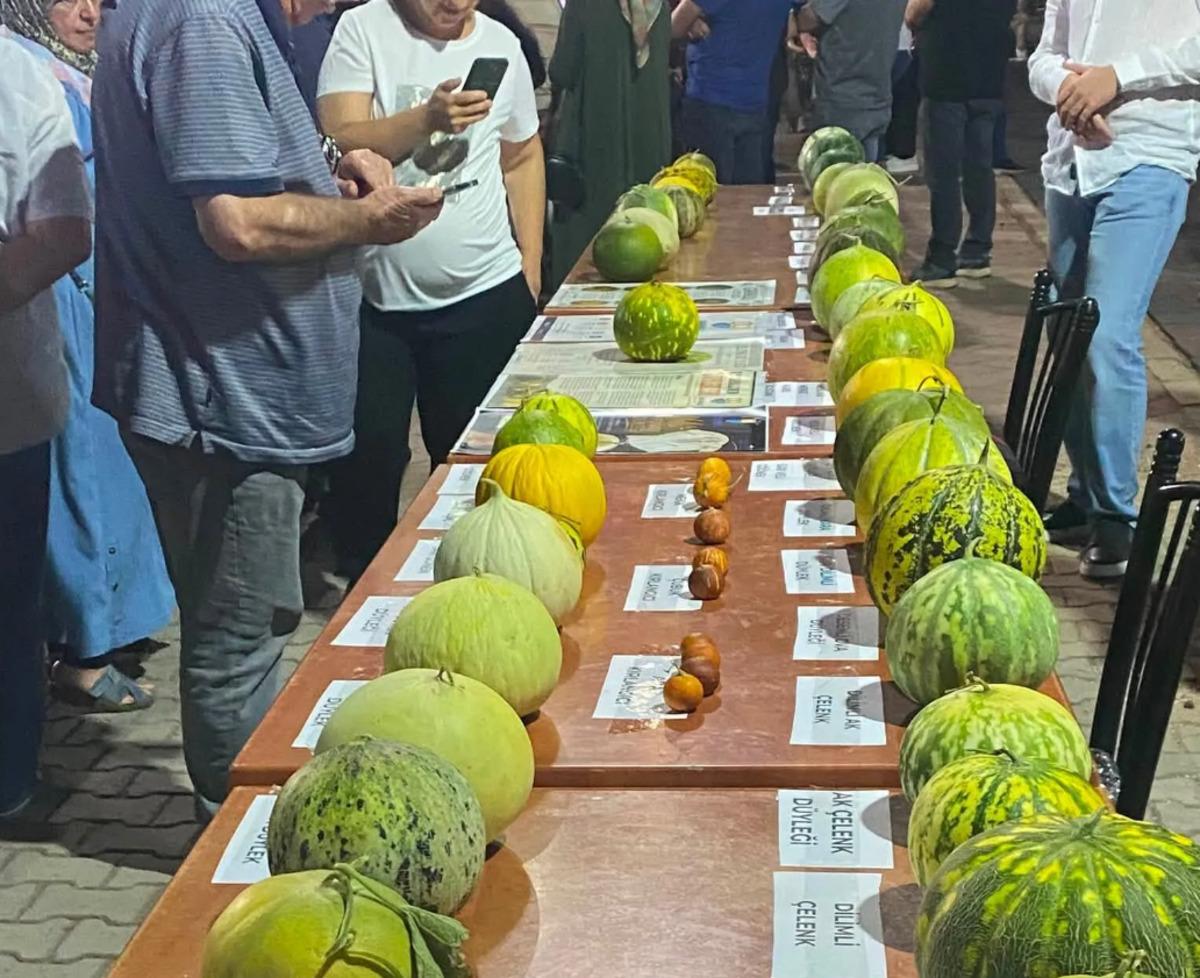 Sulanmadan yetişiyor, tadını topraktan alıyor! Dededen kalan tohumla &uuml;retiliyor 1