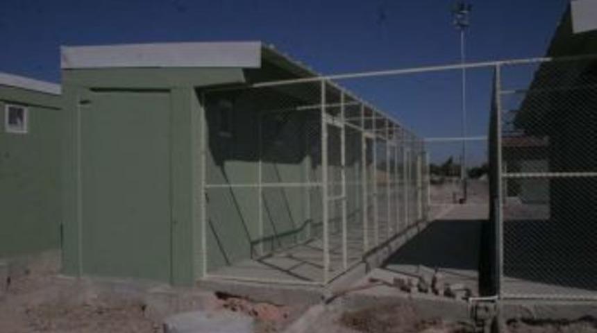 Afyonkarahisar&rsquo;da 3 yılda bin 500 k&ouml;pek kısırlaştırıldı