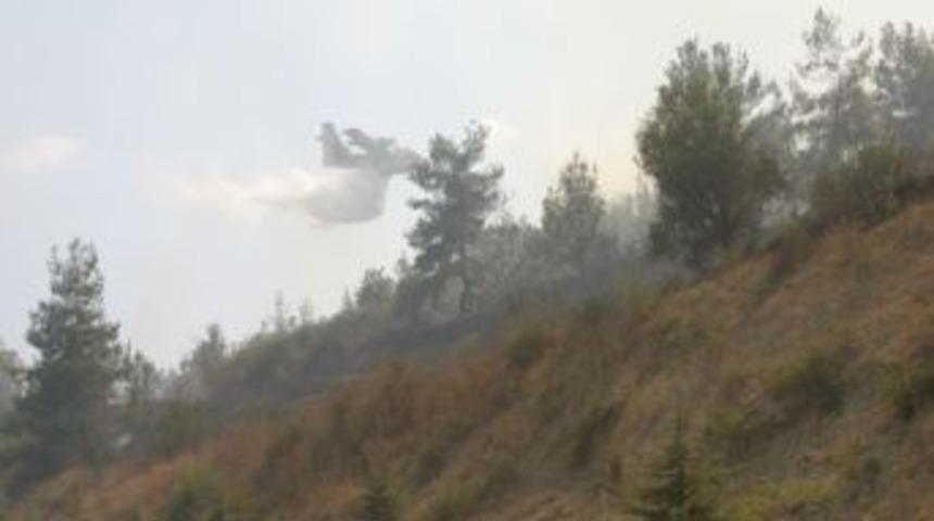 Adana'daki orman yangını sürüyor