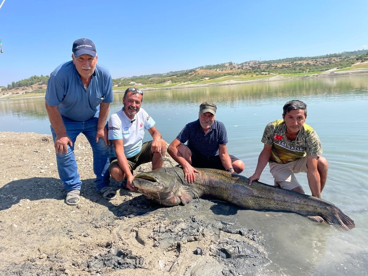 120 kiloluk balığı 2 saatte kıyıya çıkardılar! Sonra yaptıkları şaşırttı 1