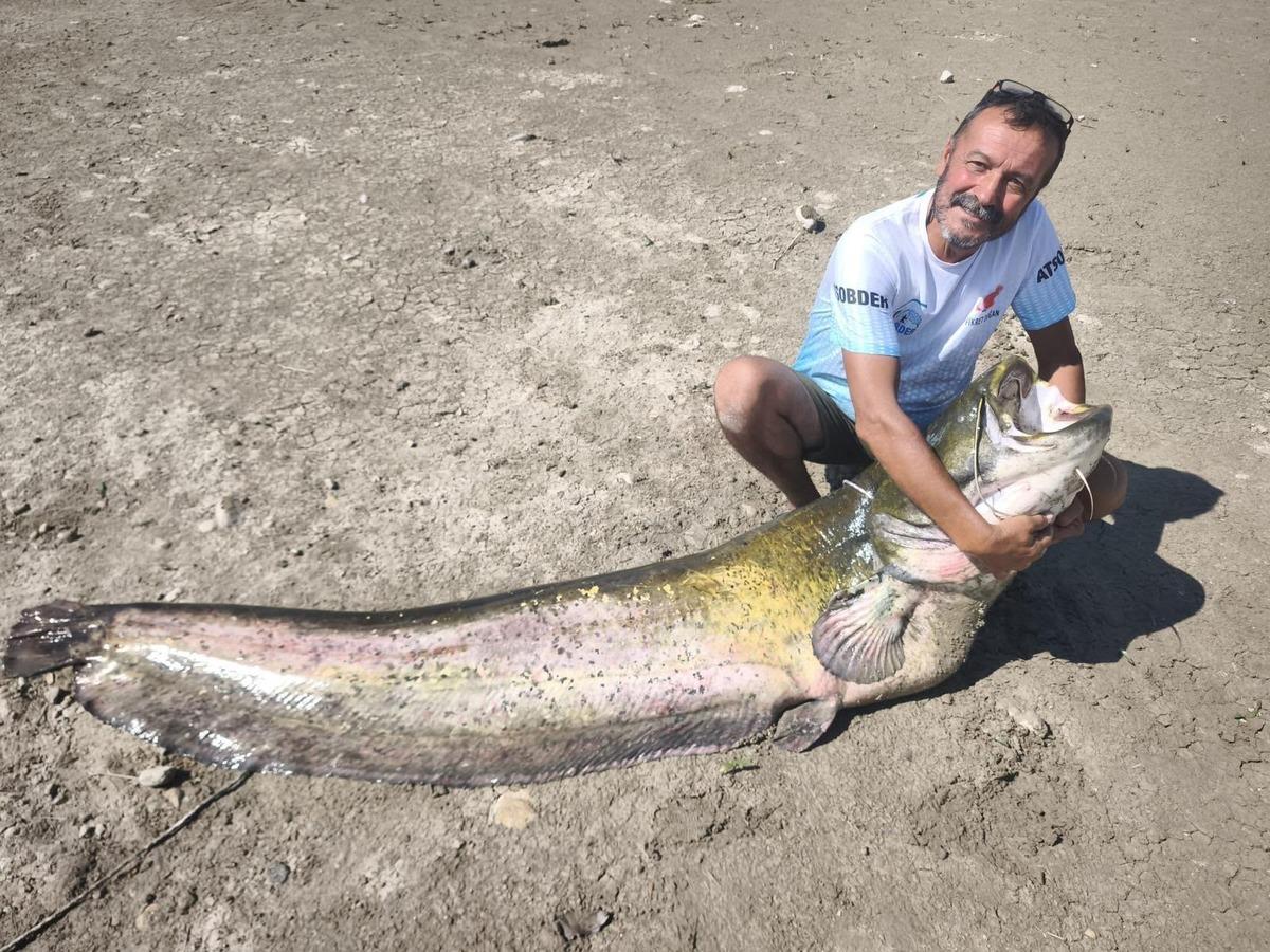 120 kiloluk balığı 2 saatte kıyıya çıkardılar! Sonra yaptıkları şaşırttı 2